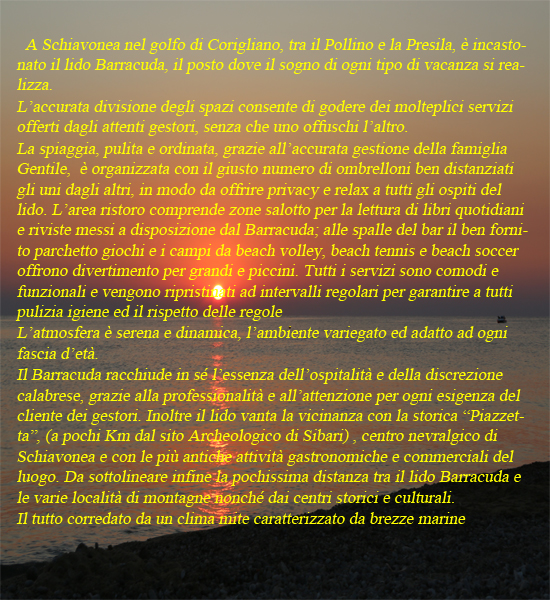 chi siamo altro
